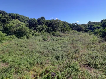 Agricultural Land
