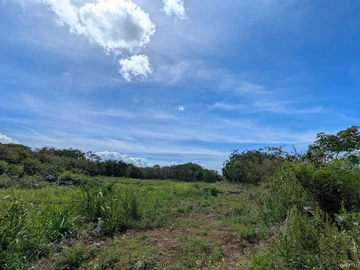 Residential Land