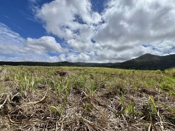 Agricultural Land
