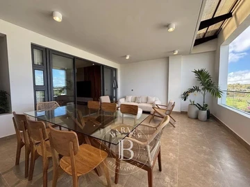 Penthouse de 4 Chambres