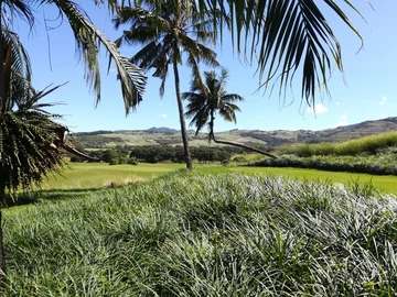 Agricultural Land