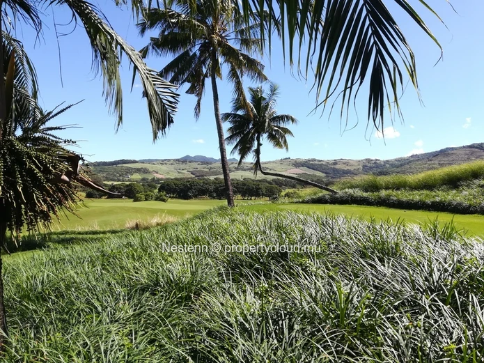 Terrain de 35 981 m2 avec vue époustouflante sur tout le Sud sauvage, idéal pour un projet immobilier