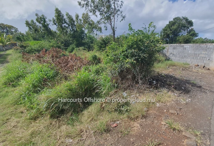 151 m² Road-front Plot with Mature Trees — Amaury