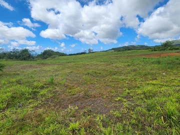 Residential Land