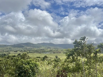 Agricultural Land