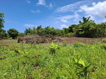 Terrain Agricole