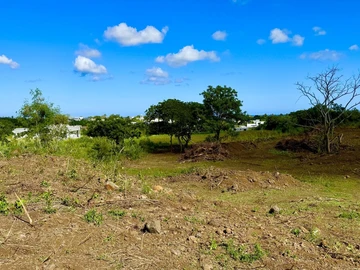 Agricultural Land