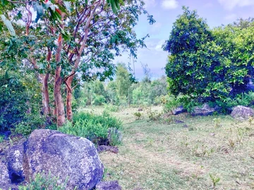 Terrain Résidentiel