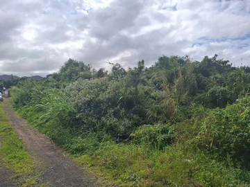 Terrain Résidentiel