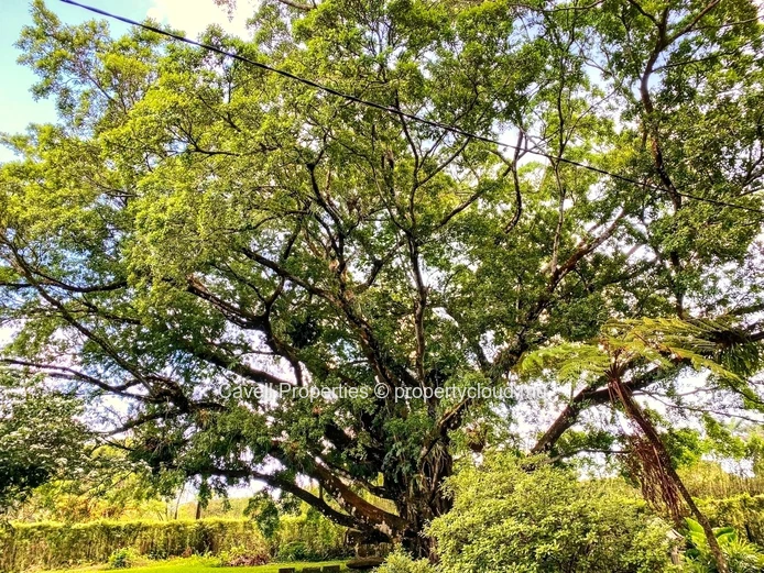 Britannia Residential Estate for sale, in the heart of the South of Mauritius