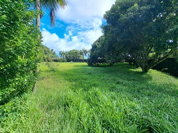 Residential Land