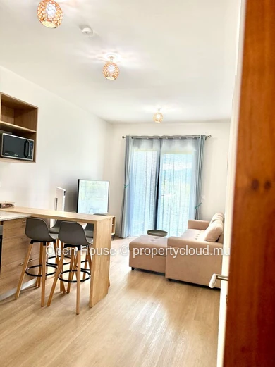 Furnished 1-Bedroom Apartment for Rent in Tamarin Smart City