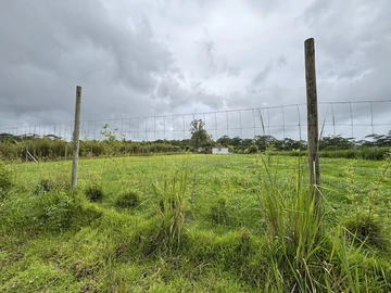 Agricultural Land