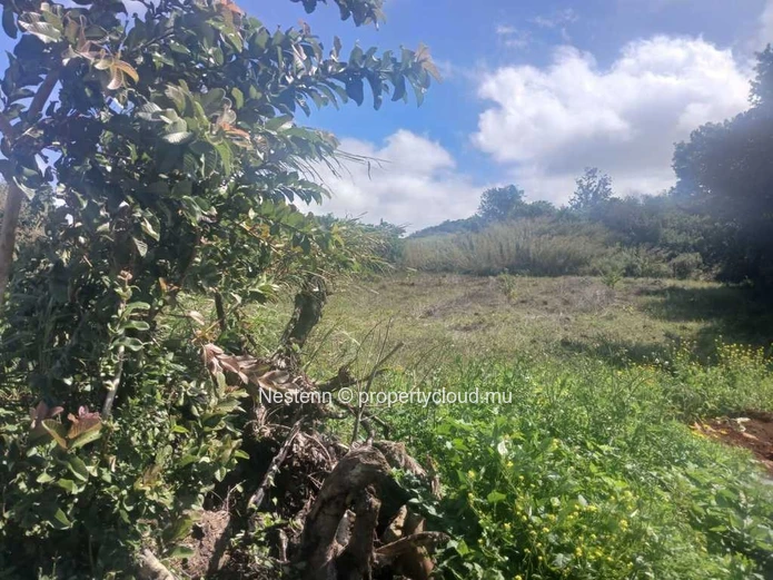 Spacious land offering 2325.5 m²
