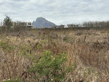Terrain Commercial