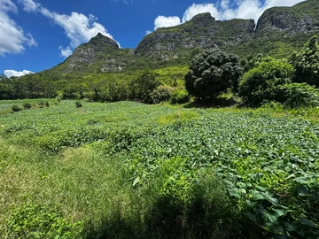 Terrain Résidentiel