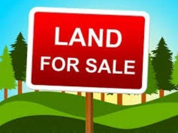 Residential land for sale at Senek Road,Plaines Des Roches.  Portion :12.90 Perches   Price: Rs  >It is located in a ...
