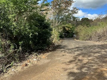 Terrain