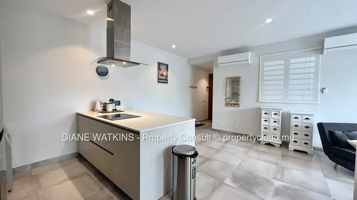Modern 1-Bedroom Studio Apartment for Rent in Tamarin