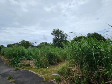 Terrain Résidentiel