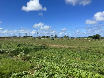 Large plot of 11,174.42m2/2 arpent 50 perches ideal for commercial development on Mare d'Albert highway