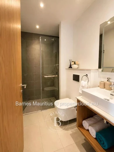 PÉREYBÈRE – Superbe penthouse avec rooftop privatif – 3 chambres