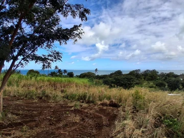 Agricultural Land