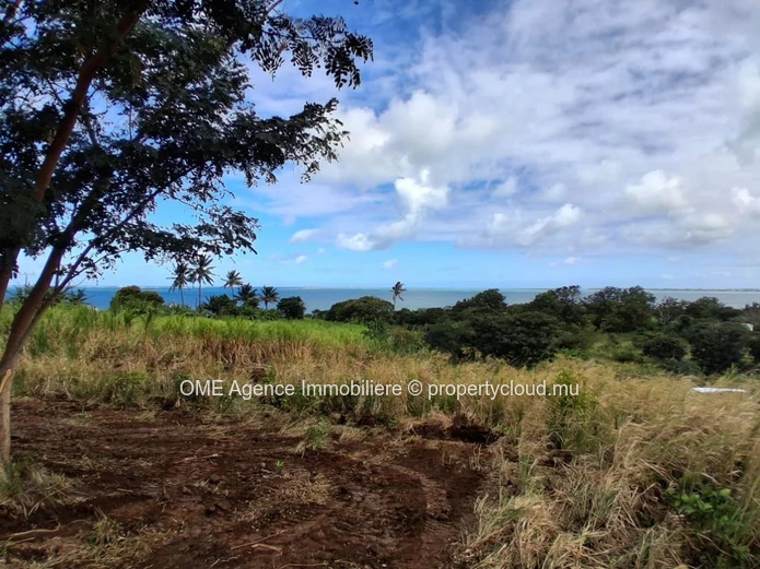 2-arpent agricultural land for sale in Vieux Grand Port