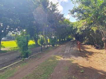 Residential Land