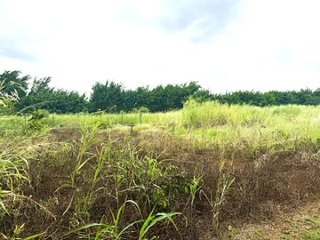 Residential Land