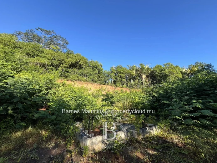 CHAMAREL - Terrain agricole - 10 276 m²