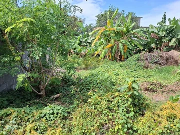 Residential Land