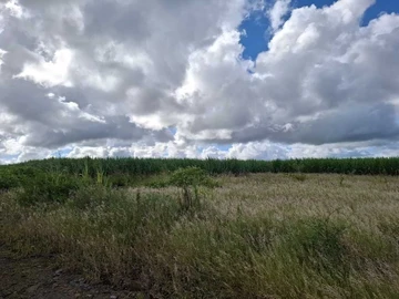 Terrain de 92604 m² avec vue montagne.