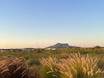 Residential Land