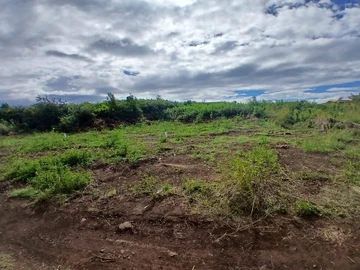Residential Land