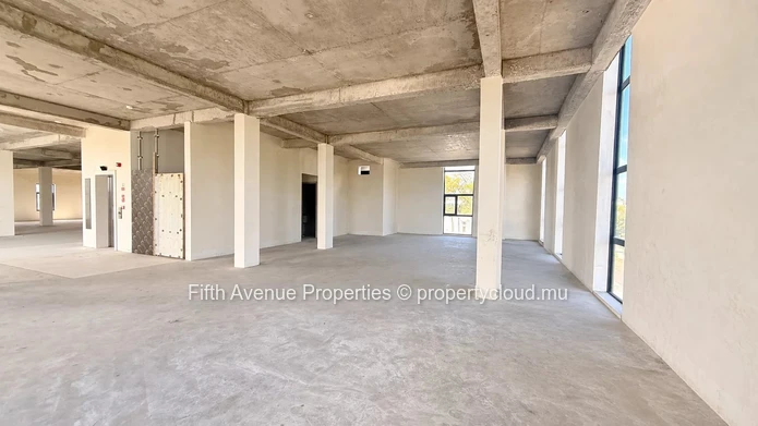 Tamarin – 300 M² Commercial Space