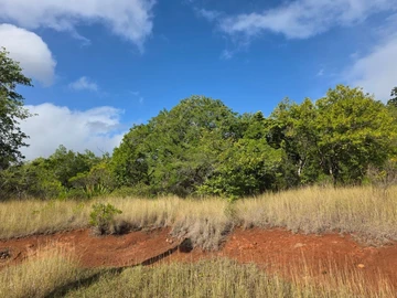 Residential Land