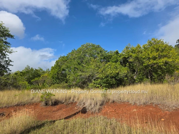 Investissement immobilier au Domaine de Palmyre : Terrain résidentiel de 4 222 m² à vendre.