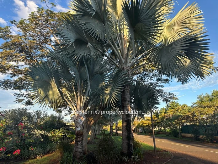 706 m² residential plot  – Coastal Living Within Reach