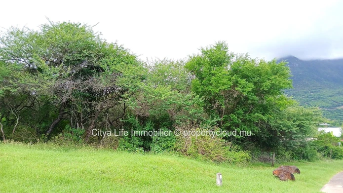 Terrain à Vendre – 2 785m² dans le Domaine de Palmyre