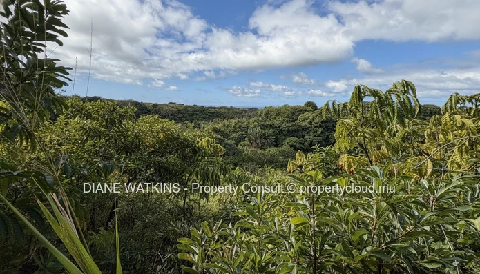Domaine agricole extraordinaire en bord de rivière | 17 224 m² (1,7 hectare) | Potentiel écotouristique infini