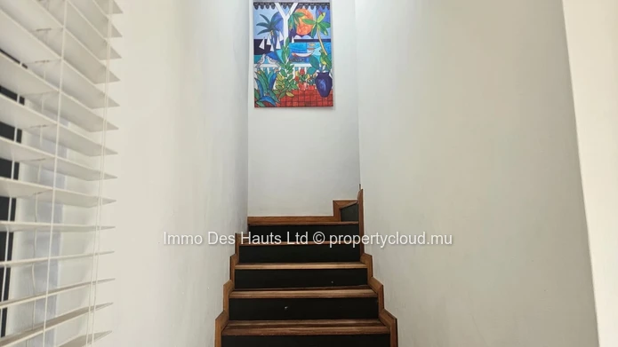 Villa de 3 chambres meublé à fort rendement locatif en vente Grand Baie 