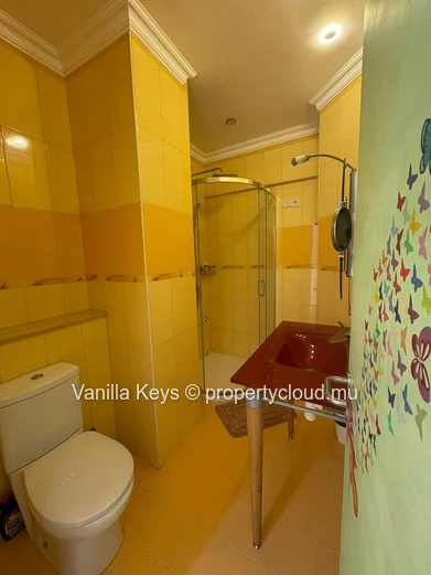 Penthouse spacieux de 334 m² à vendre à Quatre Bornes