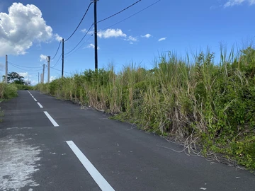 Commercial Land
