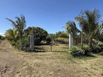 Land