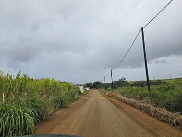 Land