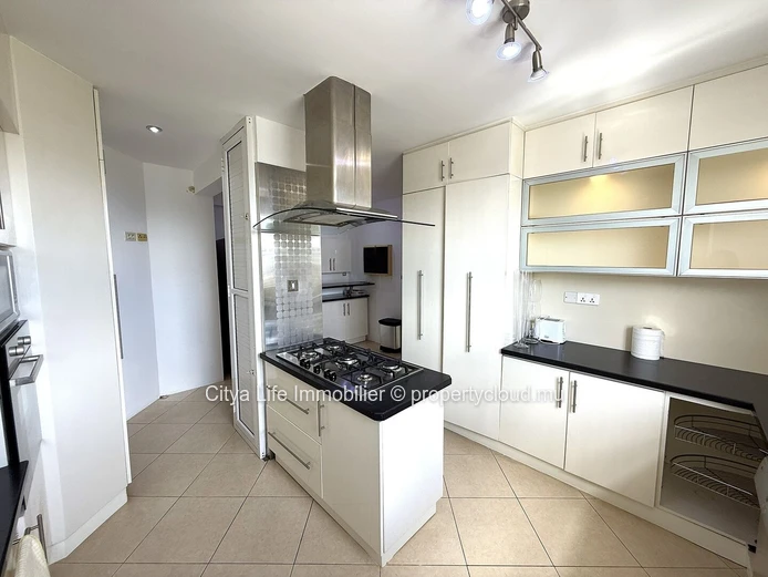 Ce spacieux et luxueux penthouse est désormais disponible à la vente !