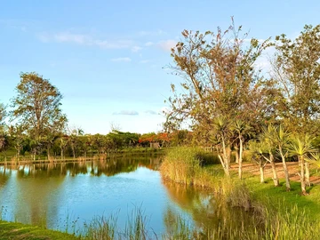 Residential Land