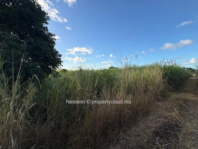 Terrain agricole de première qualité à vendre – 1 729,80 m² à Mare d'Albert