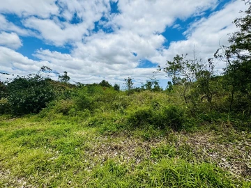 Terrain Agricole